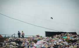 В Молдове появится национальное ведомство ответственное за сбор и переработку отходов