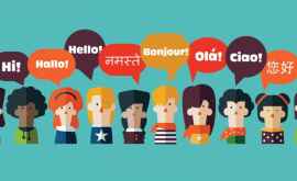 Care este cea mai studiată limbă străină în școlile din Moldova