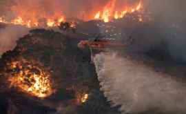 Cîntăreața care donează jumătate de milion de euro pentru lupta cu incendiile din Australia