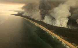 Дым от пожаров в Австралии пересек Тихий океан