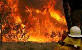 В Австралии готовятся к массовой эвакуации населения изза новой волны пожаров