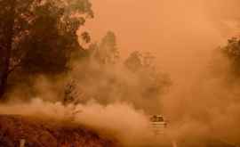 Первые кадры пожара в Австралии снятые с вертолета 