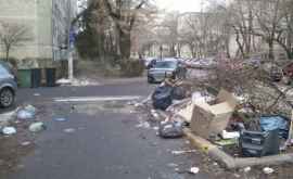 Locuitorii capitalei ar putea plăti din gros dacă aruncă gunoiul pe jos