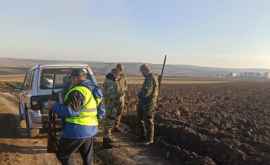 В окрестностях Кишинева оштрафовали браконьера за незаконную охоту