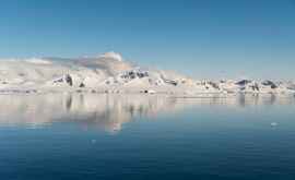 Изменения климата приведут в Антарктиду новые виды животных и растений