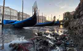 După inundații în Veneția au secat canalele FOTO