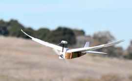 Ученые изобрели дрон с птичьими крыльями ВИДЕО