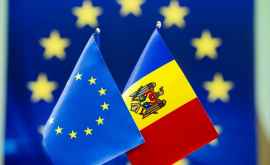 UE va majora cotele de export pentru strugurii prunele și cireșele moldovenești