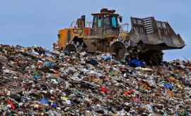 Consumul mondial de materii prime a atins recordul de 100 de miliarde de tone anual