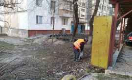 В Кишиневе проведут инвентаризацию пристроек и гаражей во дворах домов