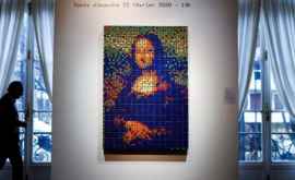 Картина Мона Лиза созданная из 330 кубиков Рубика была выставлена на аукционе