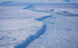  Imagini în premieră de sub gheaţa din Antarctica