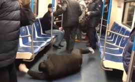 O farsă cu coronavirus a provocat panică întrun metrou din Moscova VIDEO
