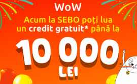 Теперь первый бесплатный кредит в SEBO до 10000 леев 