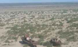 Uzbekistan intenționează să acopere fundul mării uscate Aral cu saxauli