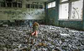 В Чернобыле процветает грибок охотно питающийся исключительно радиацией
