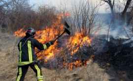 Pompierii în alertă Mai multe localități au fost cuprinse de flăcări