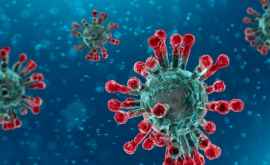 Рекомендации властей как защитить себя от коронавируса