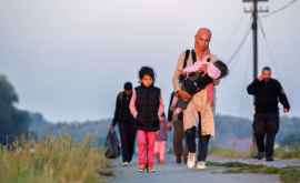 Турция не станет мешать сирийским беженцам добираться до Европы