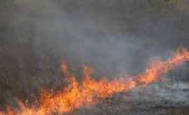 Молдова в огне 60 пожаров всего за 24 часа