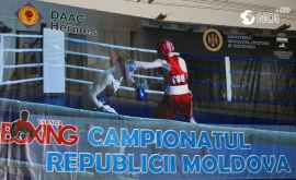 Стартовал чемпионат Республики Молдова по боксу 2020 ФОТО