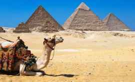 Египет введет туристическую визу 