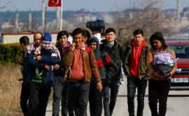 Turcia a trimis 1000 de poliţişti la frontiera cu Grecia