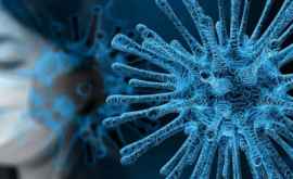 ВОЗ о сходстве и различиях COVID19 и гриппа