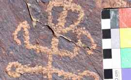 În Iran a fost găsită cea mai veche petroglifă cu imaginea unei insecte călugărițe