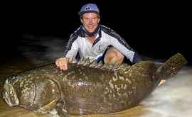 Un pescar din Australia a prins un pește de doi metri