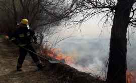 Incendiu de vegetație în sudul țării VIDEO