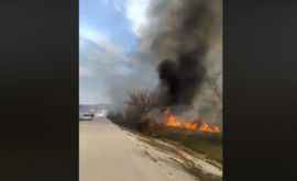 Сильный пожар недалеко от Данчен