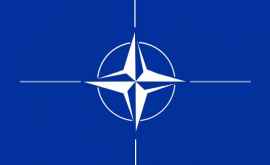 В НАТО появился новый участник