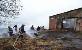 35 de oi au murit întrun incendiu ibucnit la Leova
