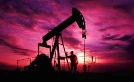 Добыча нефти может оказаться бессмысленной