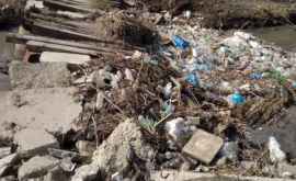 O gunoiște neautorizată descoperită în apropierea unei înterprinderi din capitală