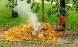 Штрафы до 9 000 леев так будут наказаны те кто сжигает мусор и листья