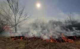 Moldova în flăcări 71 de incendii de vegetație în doar o zi VIDEO