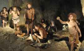 Descoperire uimitoare privind dieta oamenilor de Neanderthal