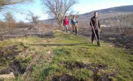 Incendiu de proporții la Nisporeni au ars suprafețe mari de iarbă uscată FOTO