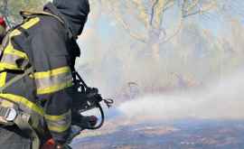 60 focare de vegetație au fost stinse de pompieri în ultimele 24 de ore VIDEO