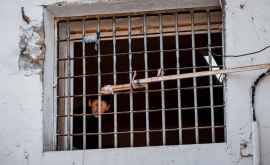 Peste 6 mii de deținuți își ispășesc pedepsele în închisorile din RM