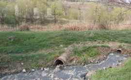 Ecodava призывает природоохранные органы спасать реки Молдовы ФОТО ВИДЕО