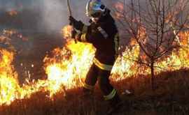 За последние сутки ликвидировано более 50 пожаров сухой растительности