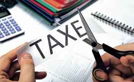 Muravschi Amînarea plății impozitului ar trebui permisă multor întreprinderi