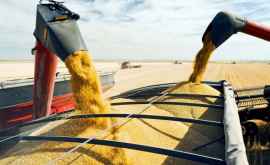 Rusia oprește exportul de cereale