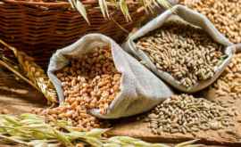 Republica Moldova are rezerve suficiente de cereale
