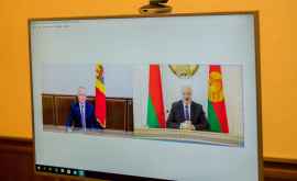 О чем беседовали в ходе онлайндискуссии президенты Молдовы и Беларуси