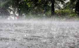 Pagubele provocate de ploi ar putea fi compensate de stat