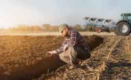 MADRM îndeamnă agricultorii săși asigure terenurile